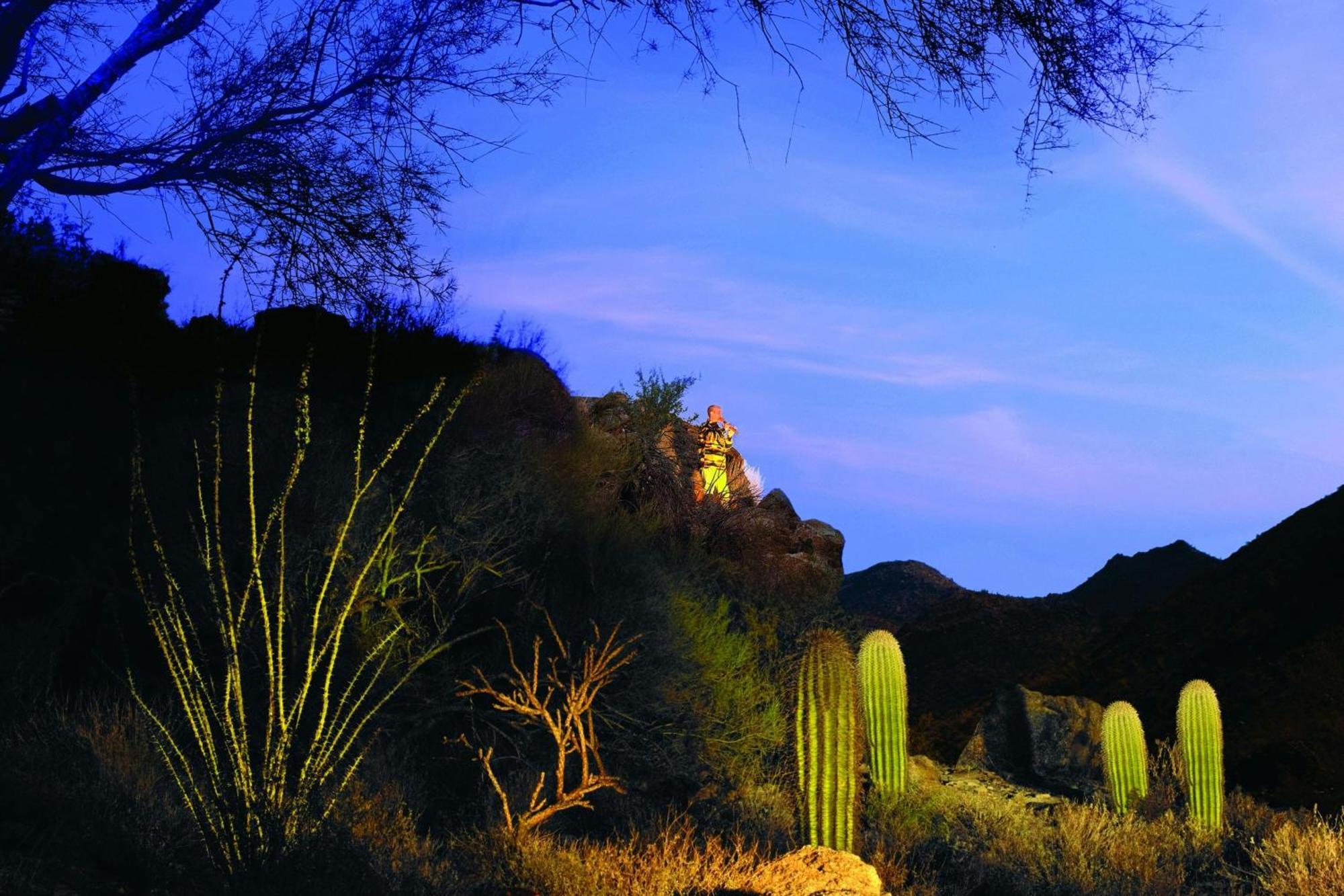 The Ritz-Carlton, Dove Mountain Hotel Marana Kültér fotó